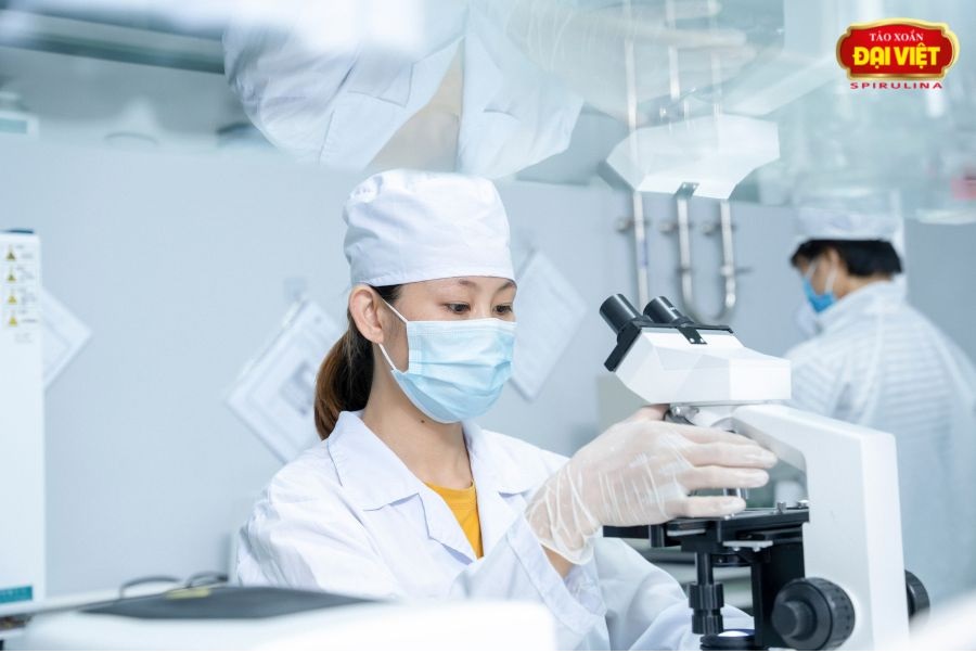 nước giải khát mùa hè